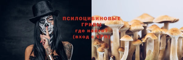 альфа пвп Пролетарск