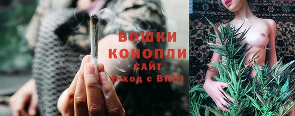 тгк Шали