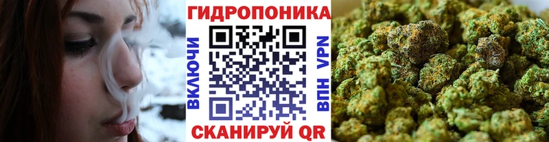 Канабис SATIVA & INDICA Дегтярск
